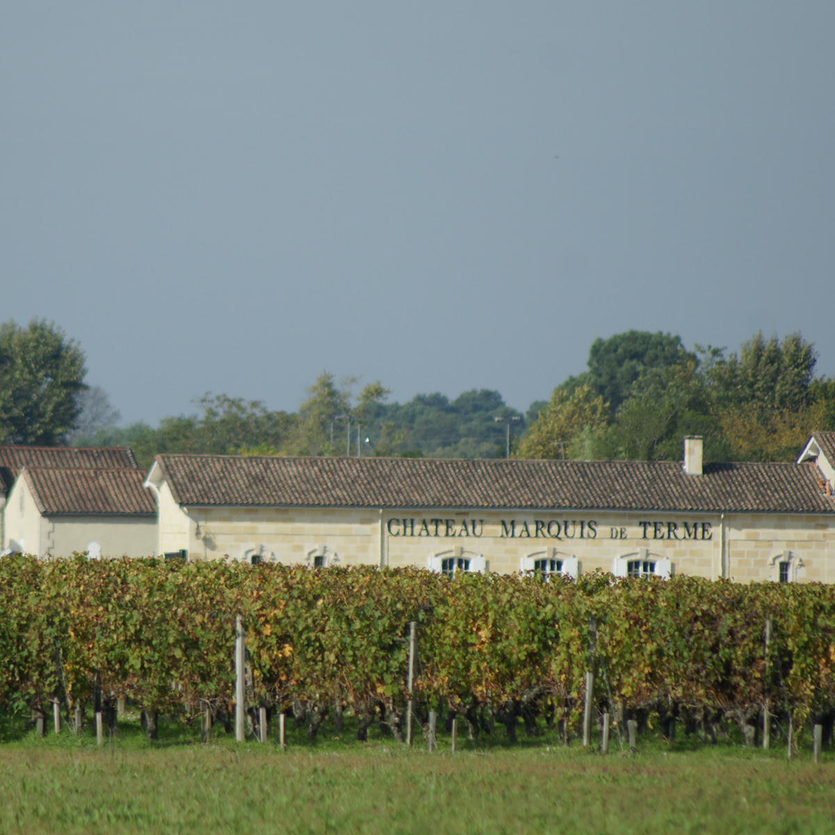 2001 Chateau Marquis de Terme 🍷 Antikwein - Weinraritäten online kaufen